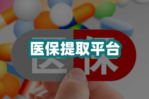 医保提取平台